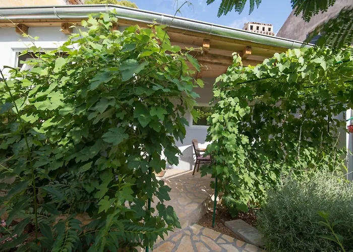 Alice A1 Гостевой дом 3*